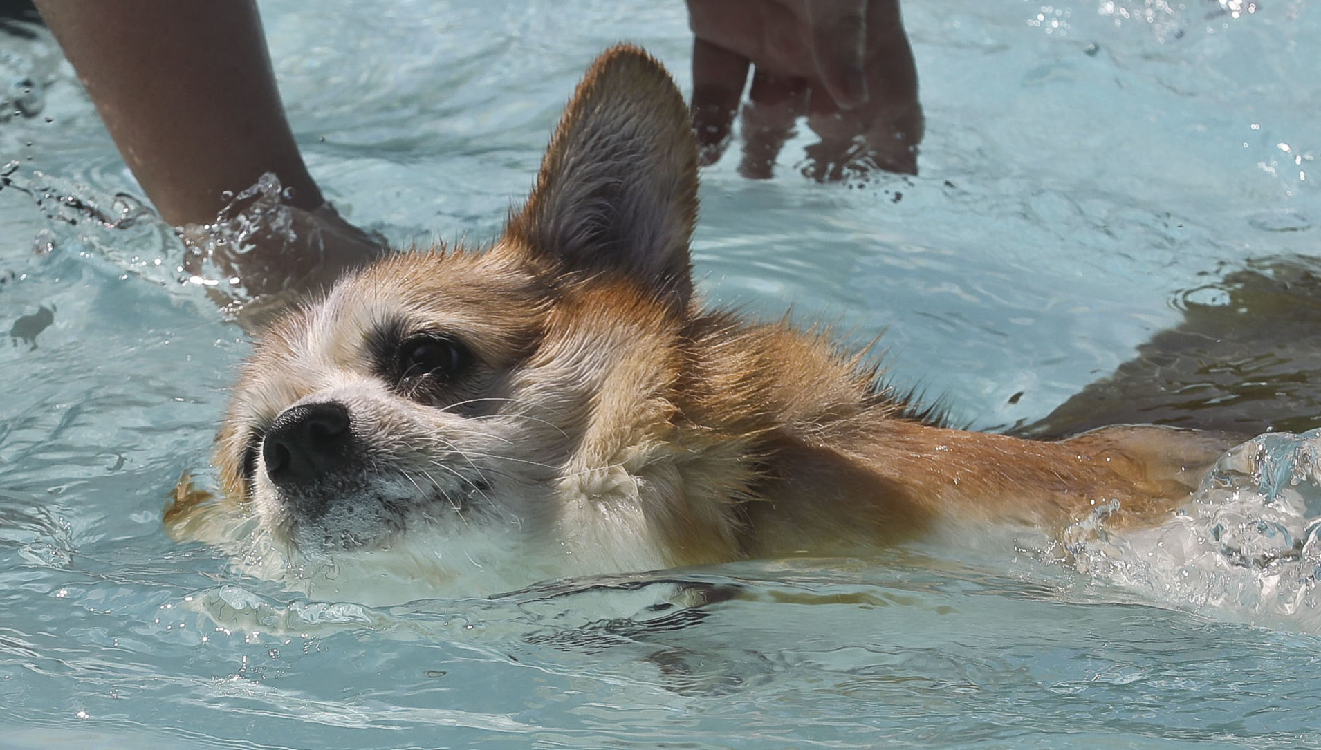 Pool Party 41 09.07.19.JPG